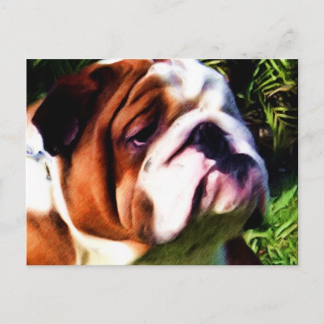 English Bulldog Postcard (Front)