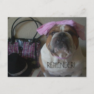ENGLISH BULLDOG POSTCARD REMINDER
