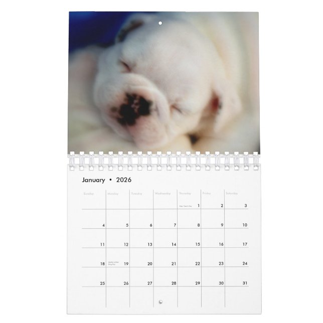English Bulldog Puppies 2015 Calendar (Jan 2026)