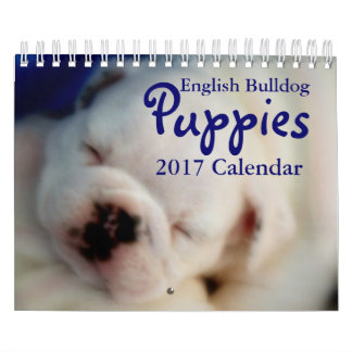 English Bulldog Puppies 2017 Calendar