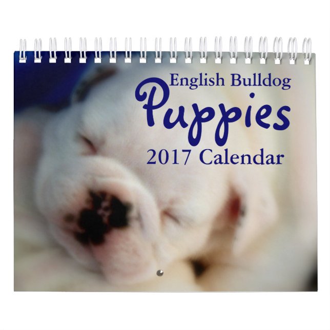 English Bulldog Puppies 2017 Calendar (Cover)
