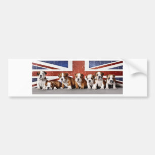 English bulldog puppies bumper sticker
