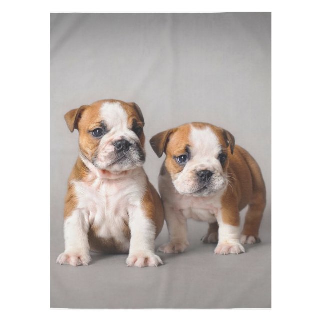 English Bulldog Puppies | Couple Cute Bulldog Tablecloth (Front)