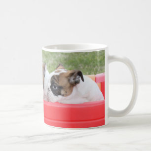 English Bulldog Puppies in a Wagon Coffee Mug