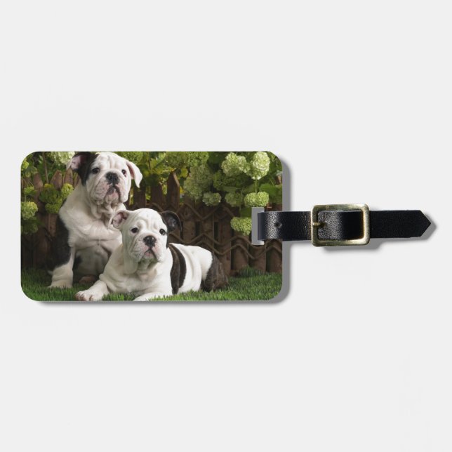English Bulldog Puppies Luggage Tag (Front Horizontal)