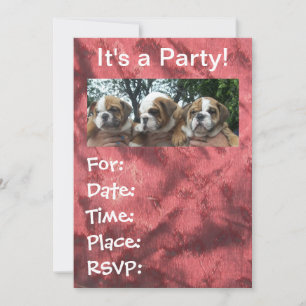 English Bulldog Puppies party Invitations