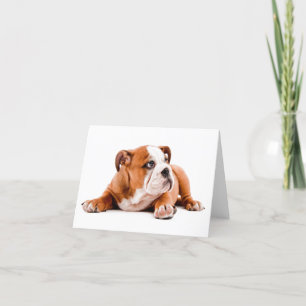English Bulldog Puppy Blank Note Card