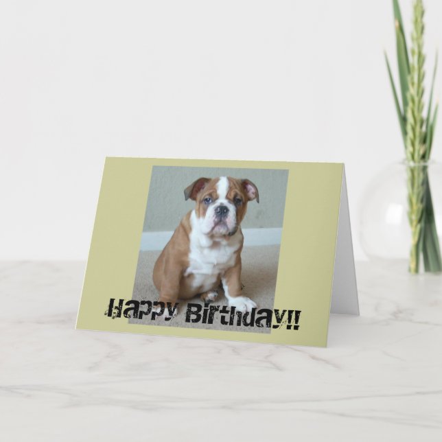 English Bulldog Puppy Card (Front)