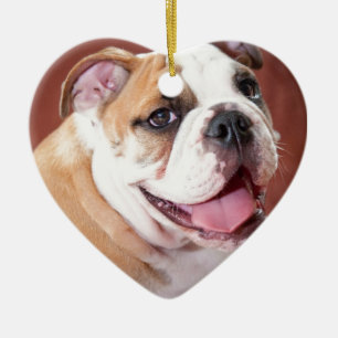 English Bulldog Puppy Ceramic Tree Decoration