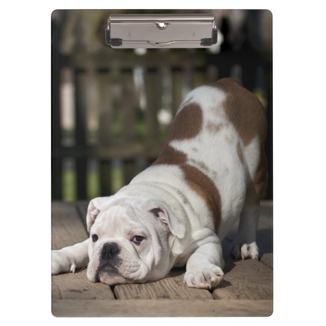 English Bulldog Puppy Clipboard (Front)