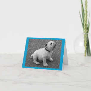 English Bulldog Puppy Dog Blank Greeting Note Card