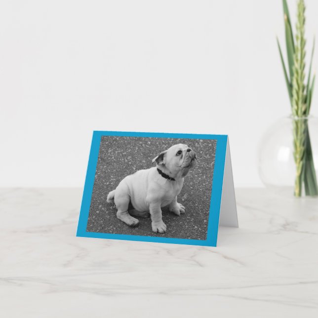English Bulldog Puppy Dog Blank Greeting Note Card (Front)