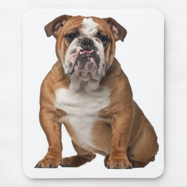 English Bulldog Puppy Dog Canine Mousepad (Front)