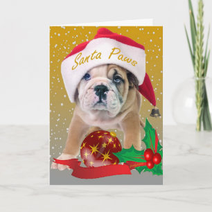 English bulldog puppy in Santa Hat Cards