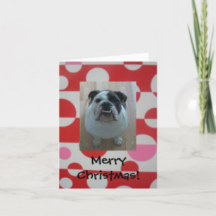 English bulldog puppy Merry Christmas cards