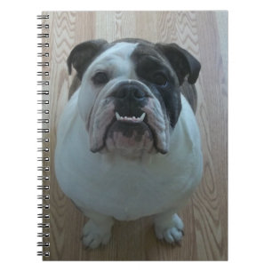 English bulldog puppy notebook