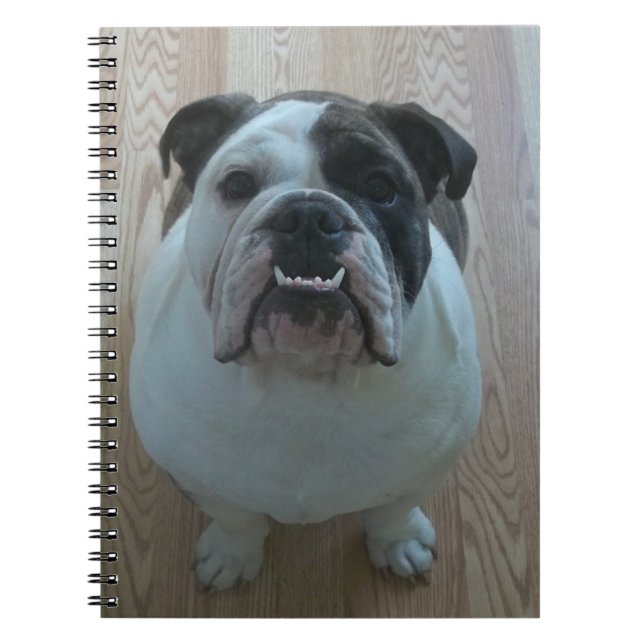 English bulldog puppy notebook (Front)