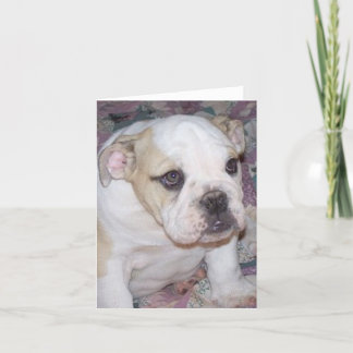 English Bulldog Puppy Notecard