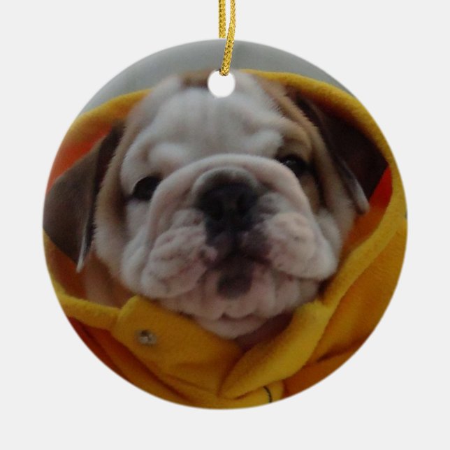 English Bulldog Puppy Ornament (Front)