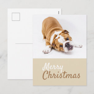 English Bulldog Puppy Photo Christmas Custom Holiday Postcard