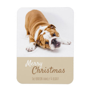 English Bulldog Puppy Photo Christmas Custom Magnet