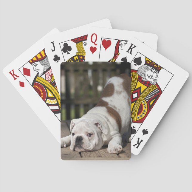 English Bulldog Puppy Playing Cards (Back)