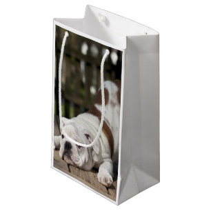 English Bulldog Puppy Small Gift Bag