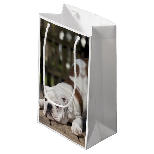English Bulldog Puppy Small Gift Bag (Front Angled)