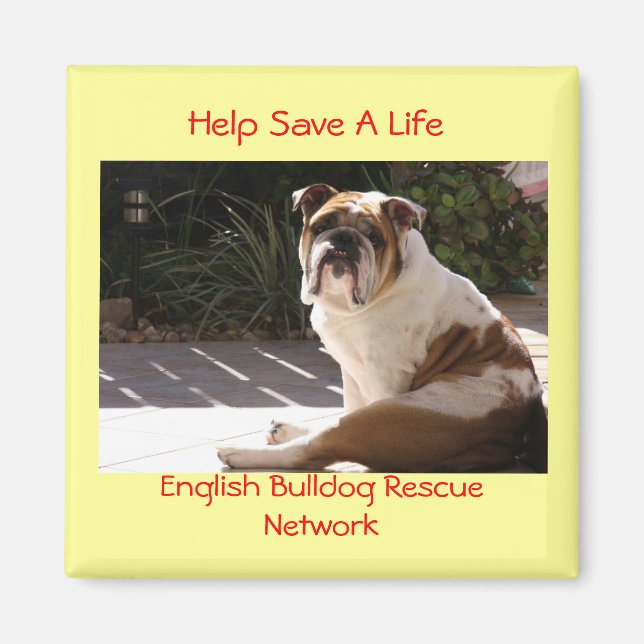 English Bulldog Rescue Network - Customised Magnet (Front)