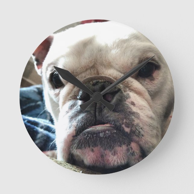 English Bulldog Round Clock (Front)