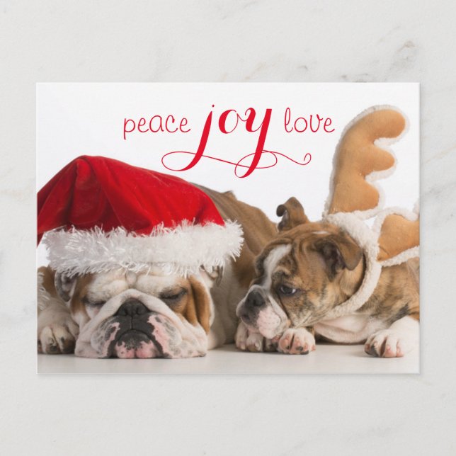 English Bulldog Santa And Reindeer Holiday Postcard (Front)