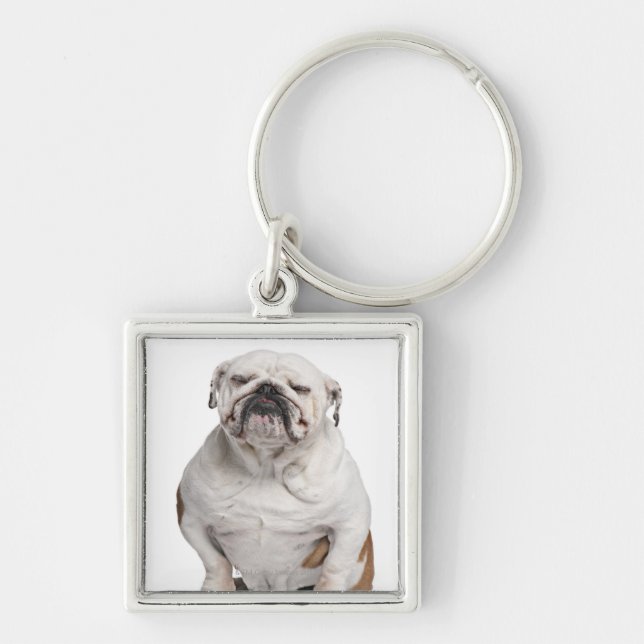 English Bulldog, sitting in front of white Key Ring (Front)