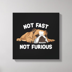 English Bulldog Sleeping Not Fast Not Furious Funn Canvas Print