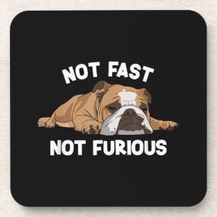 English Bulldog Sleeping Not Fast Not Furious Funn Coaster