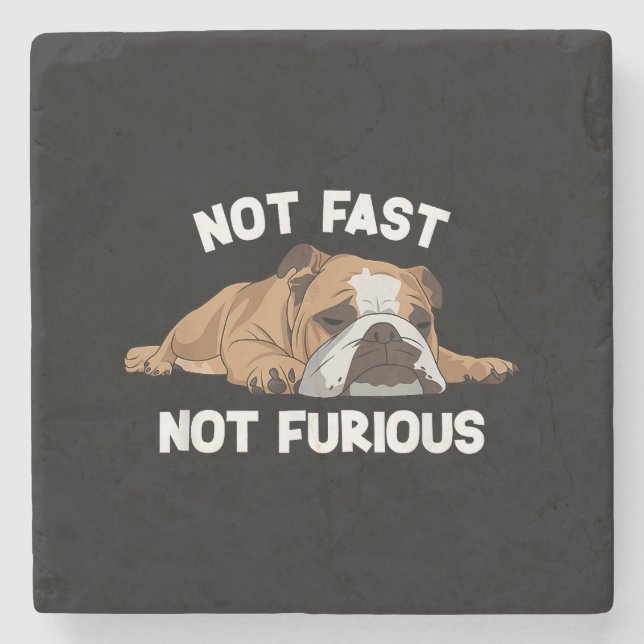 English Bulldog Sleeping Not Fast Not Furious Funn Stone Coaster (Front)