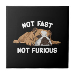 English Bulldog Sleeping Not Fast Not Furious Funn Tile