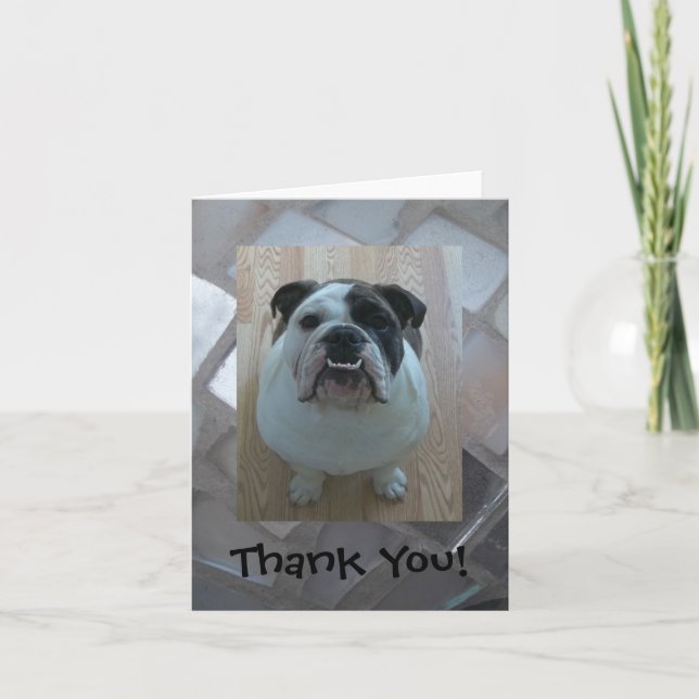 English bulldog Thank You note cards! (Front)