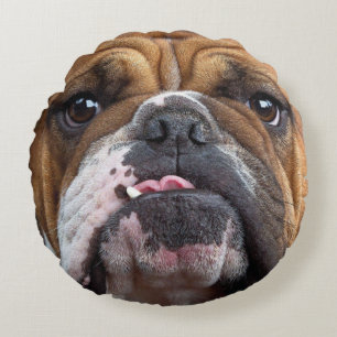 English Bulldog  Throw Pillow