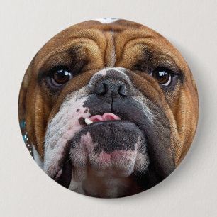 English Bulldog  Throw Pillow 10 Cm Round Badge