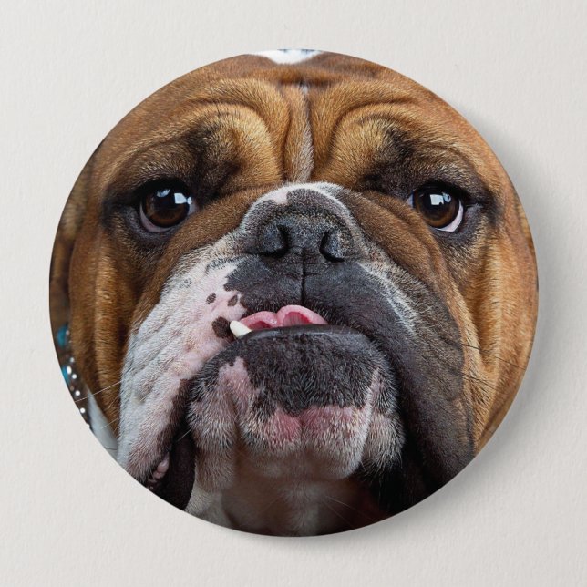 English Bulldog  Throw Pillow 10 Cm Round Badge (Front)