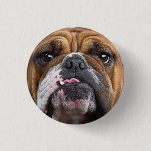 English Bulldog  Throw Pillow 3 Cm Round Badge