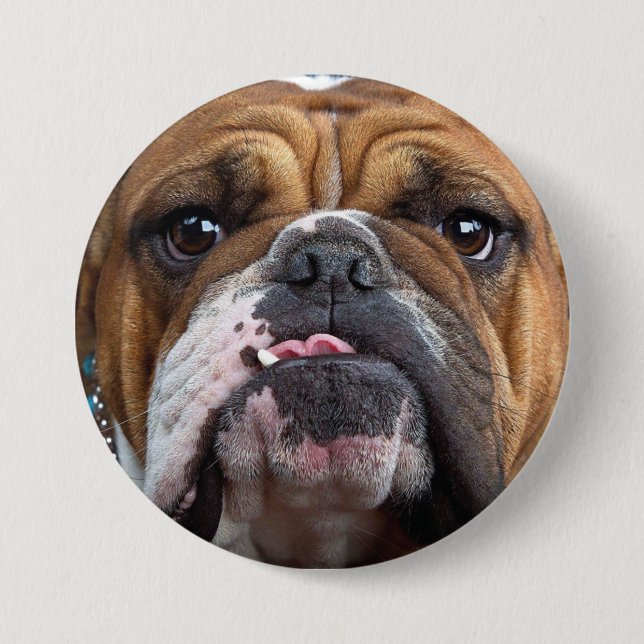 English Bulldog  Throw Pillow 7.5 Cm Round Badge (Front)