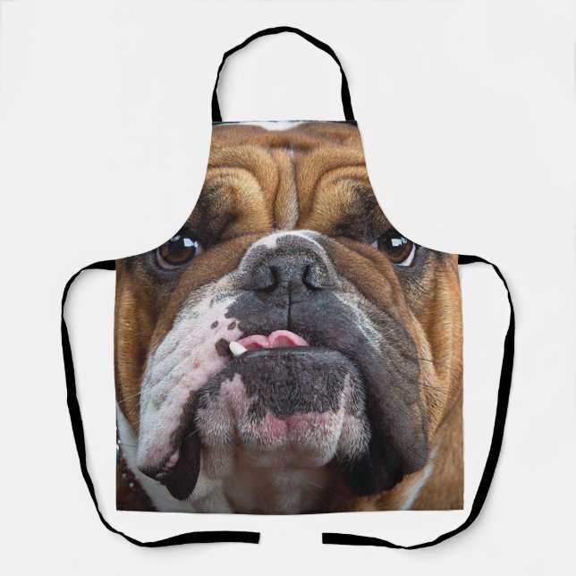 English Bulldog  Throw Pillow Apron (Front)