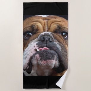 English Bulldog  Throw Pillow Beach Towel