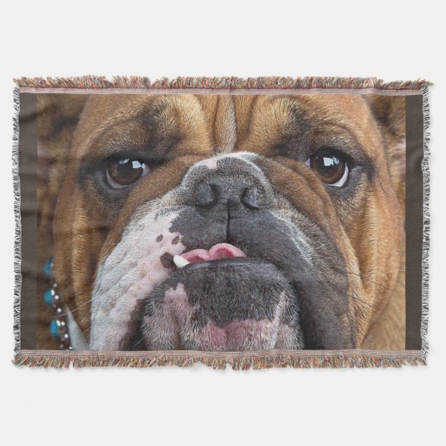 English Bulldog  Throw Pillow Blanket (Front)