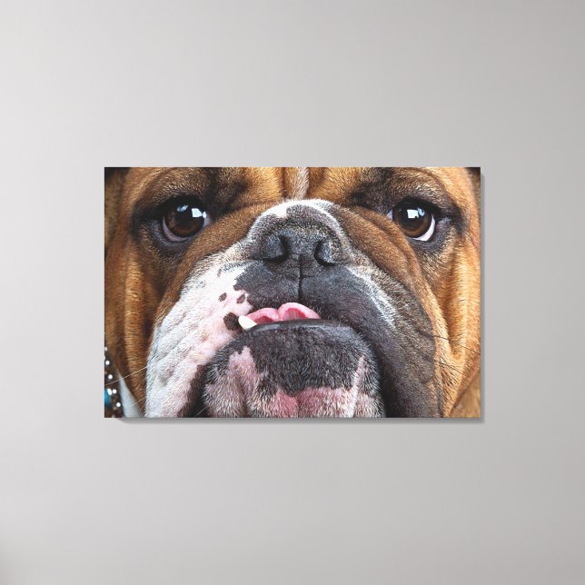 English Bulldog  Throw Pillow Canvas Print (Front)