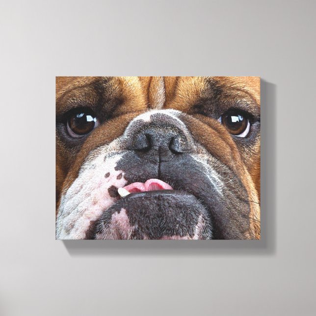 English Bulldog  Throw Pillow Canvas Print (Front)