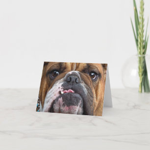 English Bulldog  Throw Pillow Card
