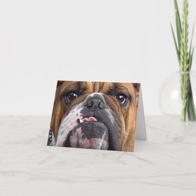 English Bulldog  Throw Pillow Card (Front)