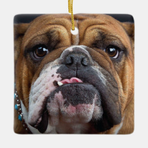 English Bulldog Throw Pillow Ceramic Ornament
